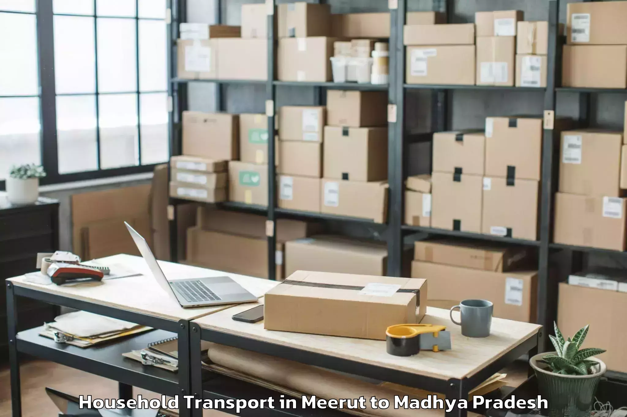 Book Meerut to Narwar Household Transport